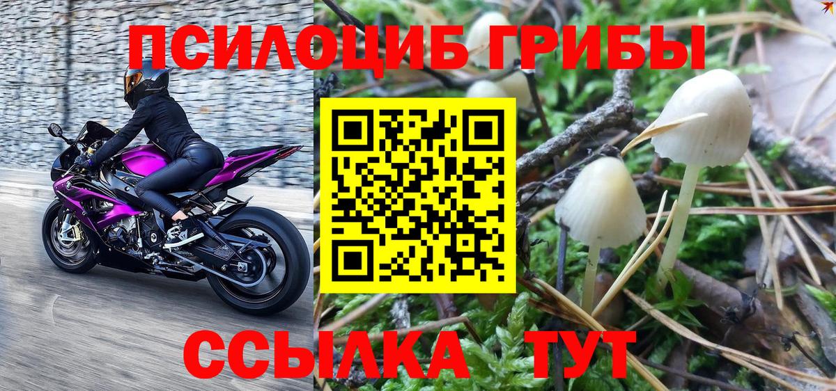 Галлюциногенные грибы MAGIC MUSHROOMS  Вход с VPN  Заволжье  Псилоцибиновые грибы мухоморы 